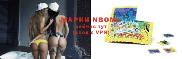 хмурый Алзамай