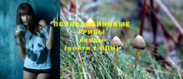 хмурый Алексеевка