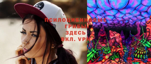 хмурый Алзамай
